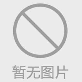 斗式提升机转速确定及选型